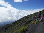 ��i�Ό���ւ̓�