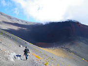 ��i�Ό����