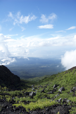 �x�m�R�̎R�����E��i�R���t�߂���̌i�F