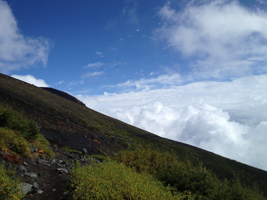 �x�m�R�̎R�����E��i�R������̕�i�Ό����ʂ̌i�F